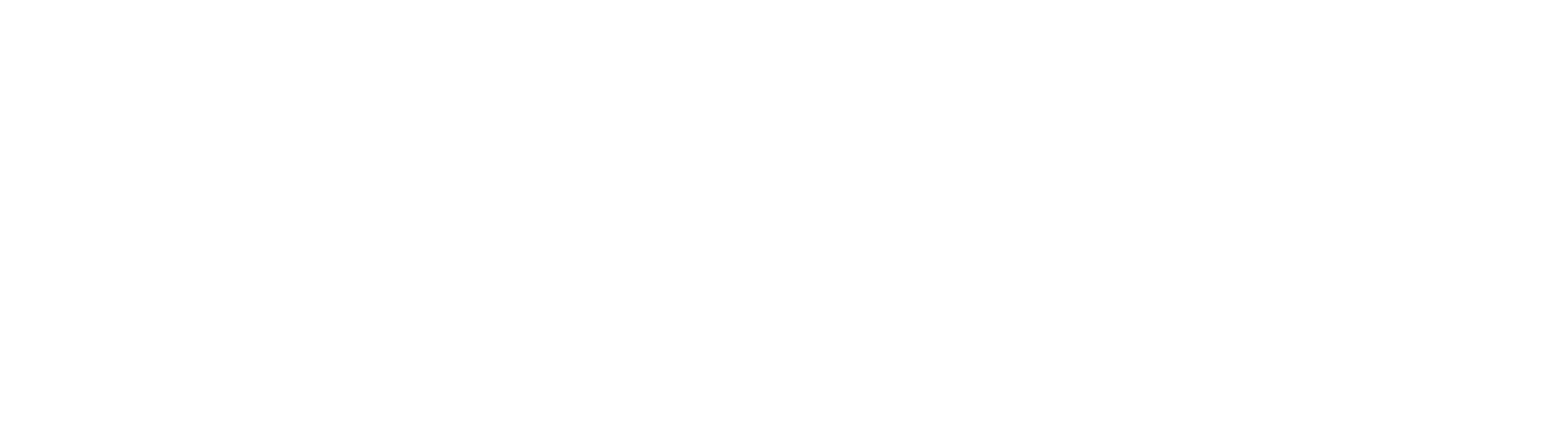 Cristina Albu Academy